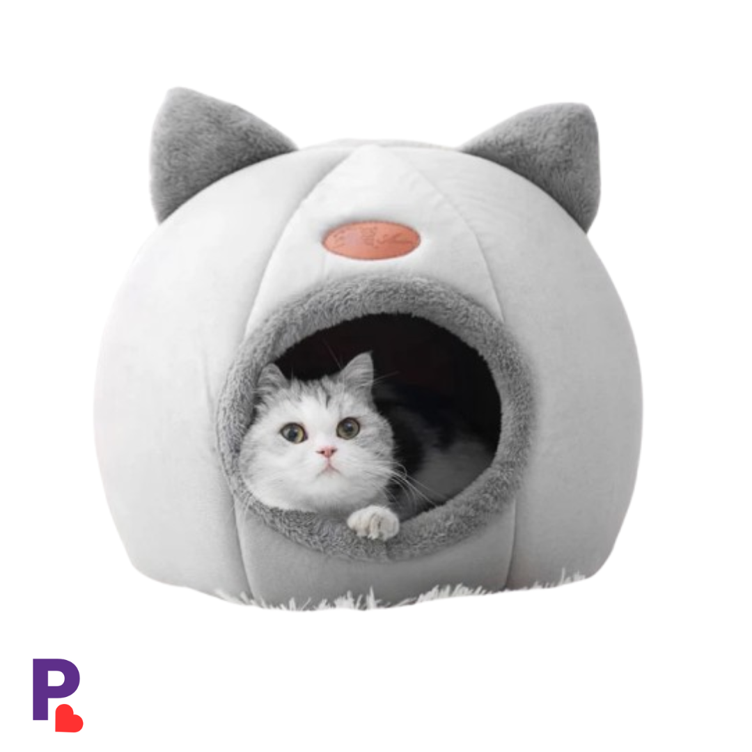 Cat Beds, Cat Houses and More | PetAura