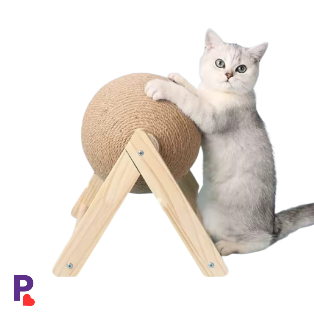 Cat Toys