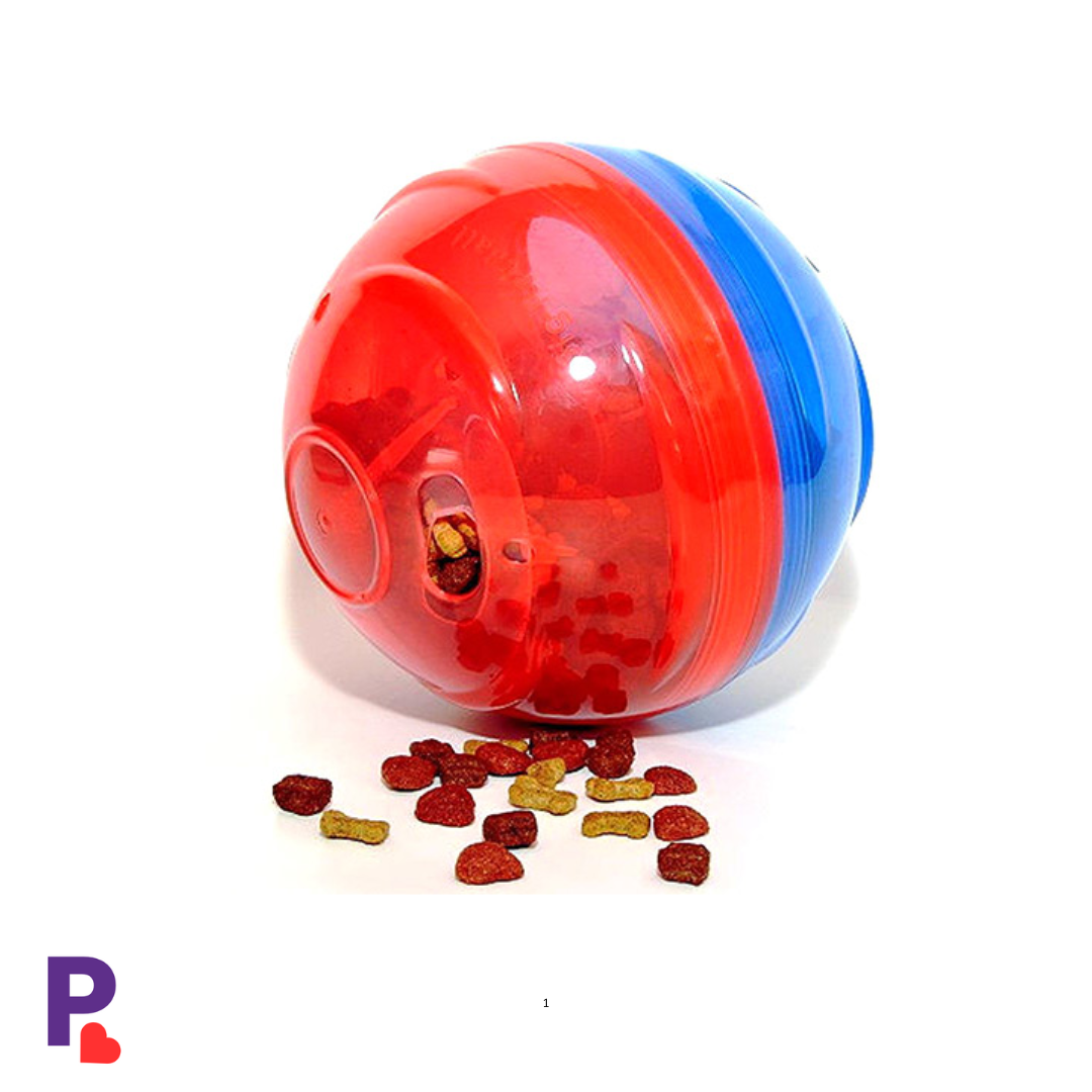 PetAura | Best Dog Toys – Puzzle & Treat Toys 