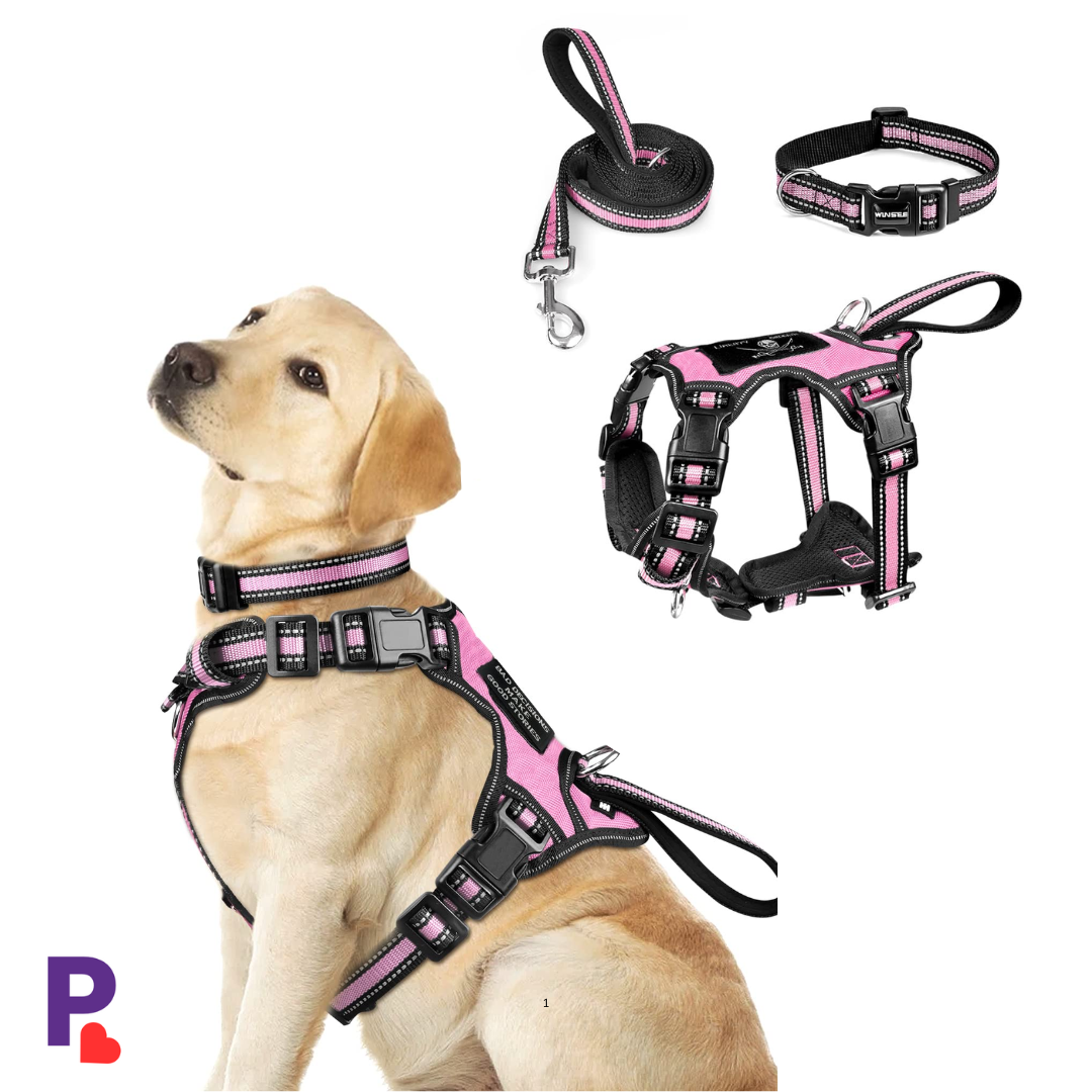 PetAura  Durable Dog Collars, Leashes & Anti-Pull Harnesses – Ireland