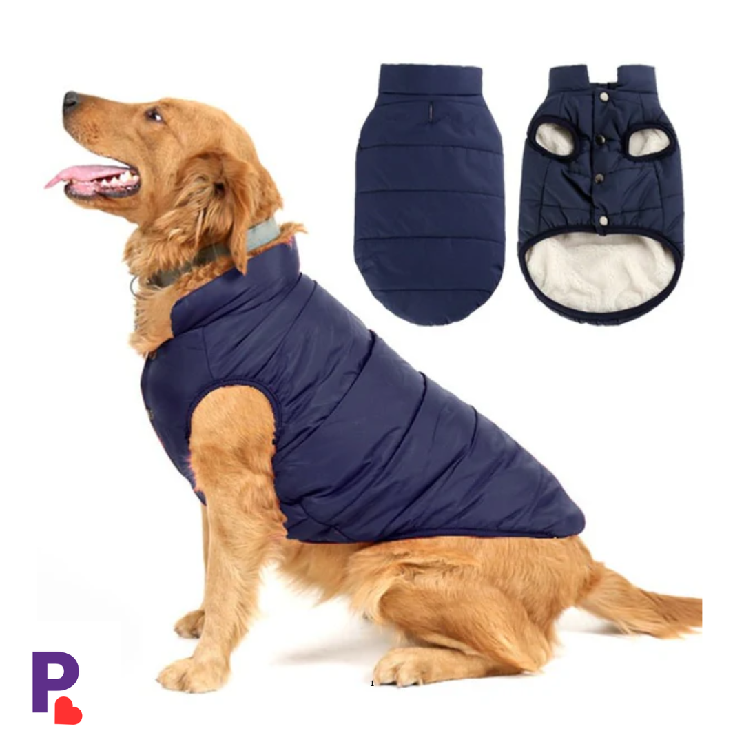PetAura  Stylish Dog & Cat Clothing – Sweaters, Raincoats & Bandanas