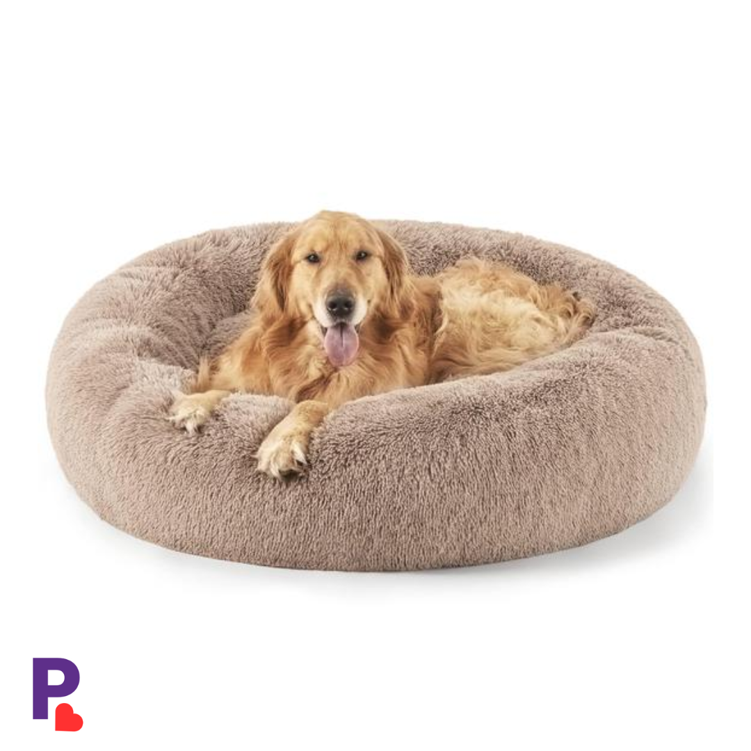 Dog Beds | PetAura