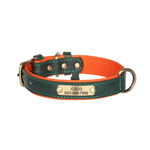 Custom Engraved Dog Collar with ID Tag - PetAura