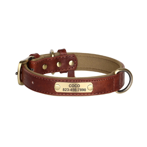Custom Engraved Dog Collar with ID Tag - PetAura