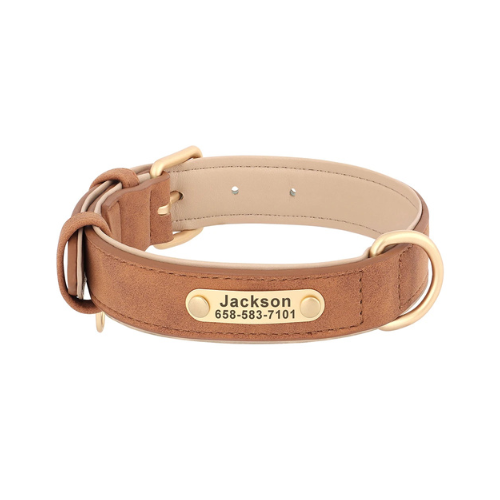 Custom Engraved Dog Collar with ID Tag - PetAura