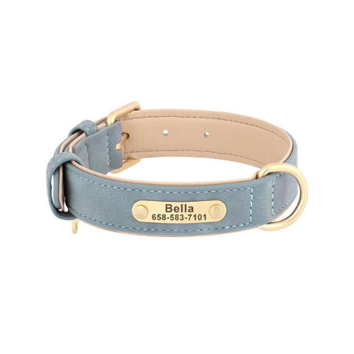 Custom Engraved Dog Collar with ID Tag - PetAura