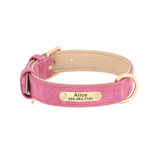 Custom Engraved Dog Collar with ID Tag - PetAura