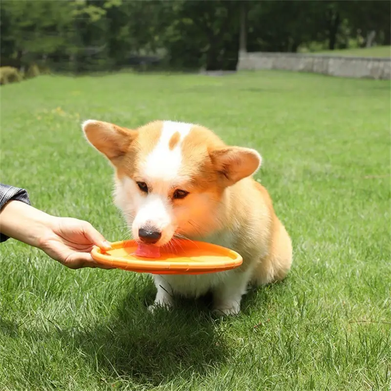 Bite Resistant Flying Disc for Dogs - PetAura