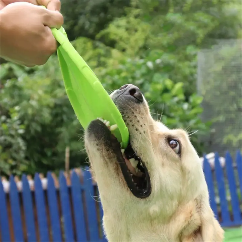 Bite Resistant Flying Disc for Dogs - PetAura