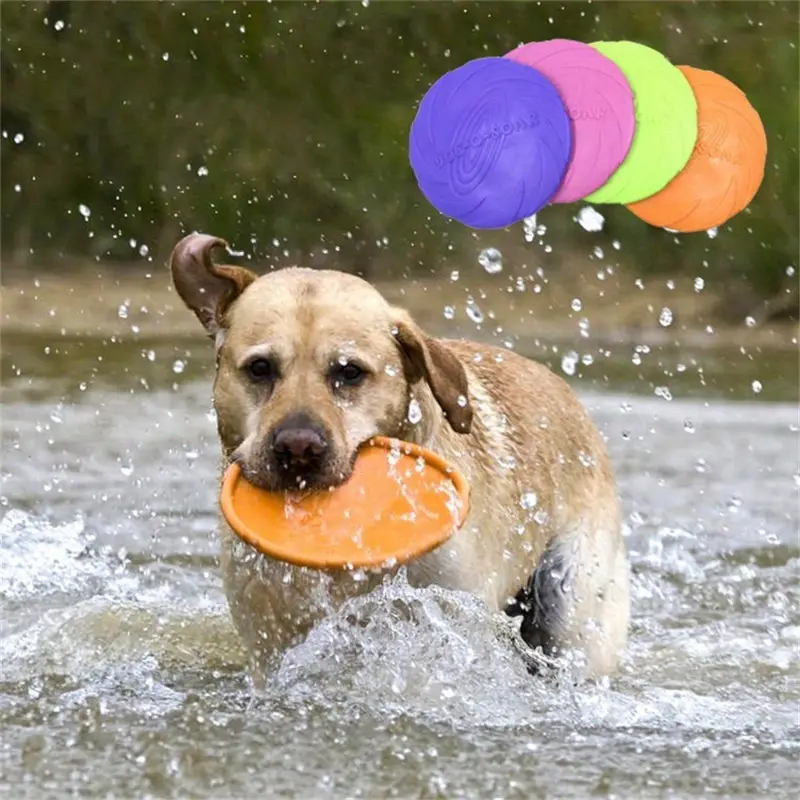 Bite Resistant Flying Disc for Dogs - PetAura