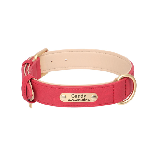 Custom Engraved Dog Collar with ID Tag - PetAura
