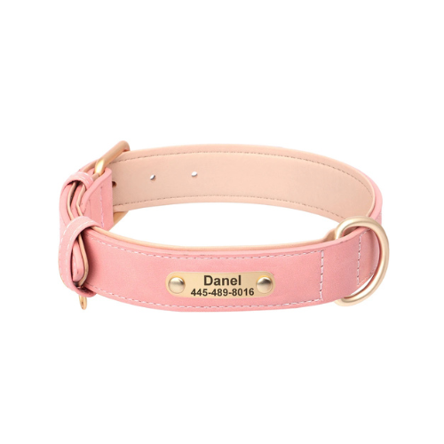 Custom Engraved Dog Collar with ID Tag - PetAura