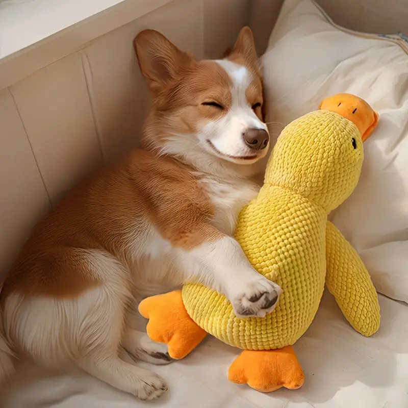 Plush Duck Toy for Dogs - Bite Resistant & Sound Relief