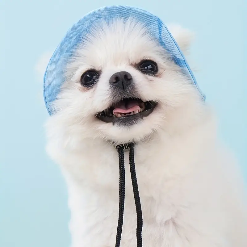 Pet Hat with Ear Holes - Sun Protection for Cats & Dogs