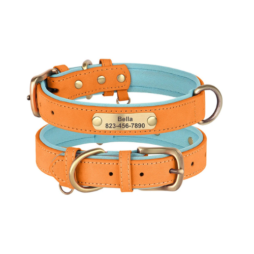 Custom Engraved Dog Collar with ID Tag - PetAura