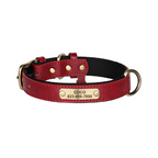 Custom Engraved Dog Collar with ID Tag - PetAura