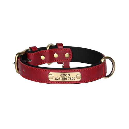 Custom Engraved Dog Collar with ID Tag - PetAura