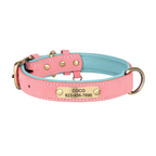 Custom Engraved Dog Collar with ID Tag - PetAura