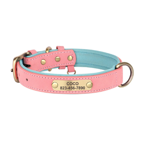 Custom Engraved Dog Collar with ID Tag - PetAura