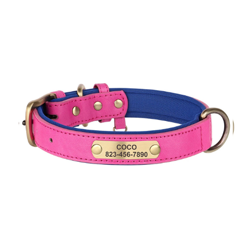 Custom Engraved Dog Collar with ID Tag - PetAura