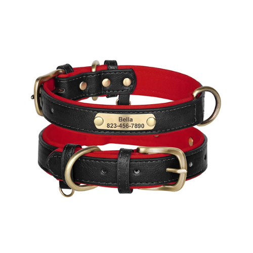 Custom Engraved Dog Collar with ID Tag - PetAura