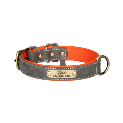 Custom Engraved Dog Collar with ID Tag - PetAura