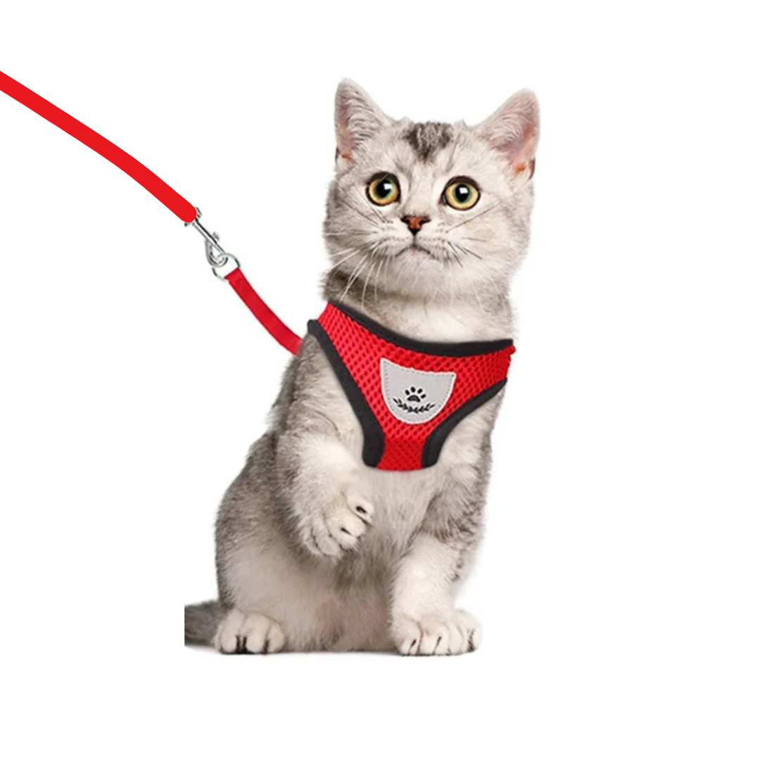 Adjustable Reflective Pet Harness and Leash Set - PetAura