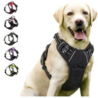 Comfortable Dog Harness Vest with Leash - PetAura