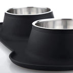 Non-Slip Double Dog Bowl with Silicone Mat - PetAura