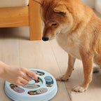 Interactive Slow Feeder Toy for Dogs - PetAura