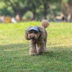 Adjustable Pet Dog Travel Cute Baseball Hat Sun Cap Visor Hat with Ear Holes Outdoor Sport Pet Supplies