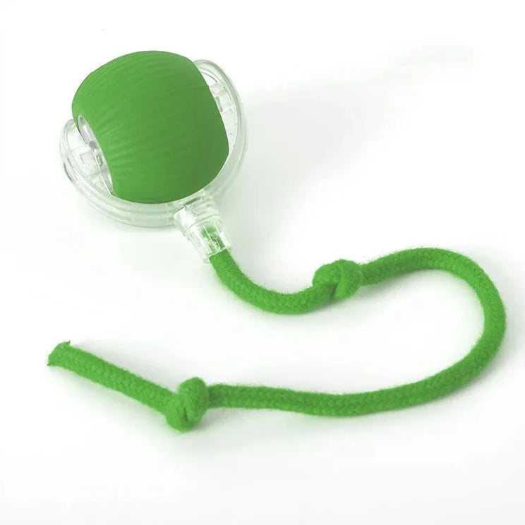 Smart Cat Toys Automatic Rolling Ball Fake Tail Rechargeable Electric Pet Interactive Toy Dog Cat Training Imitate Mouse Tail