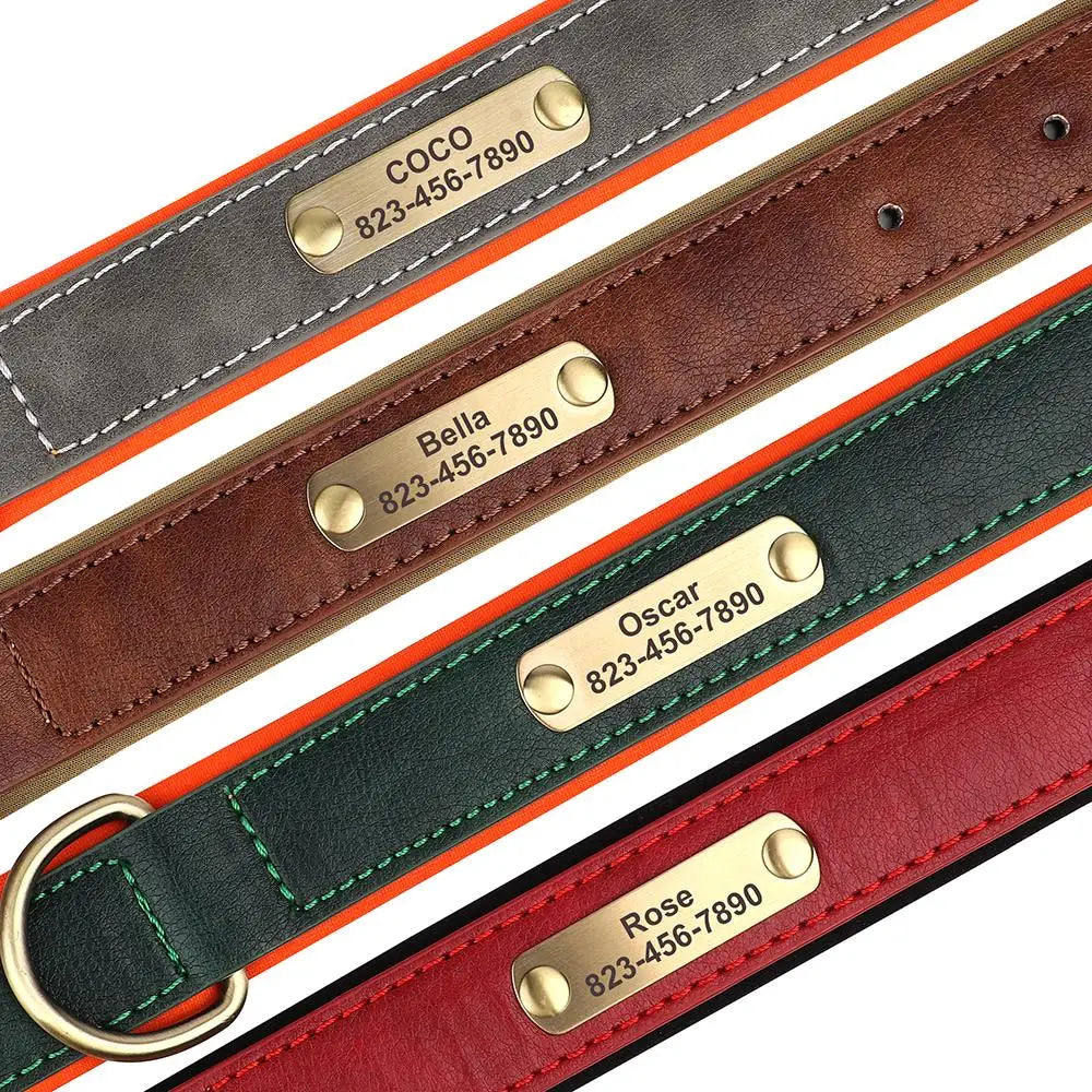 Leather Dog Collar with ID Tag - PetAura