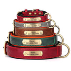 Leather Dog Collar with ID Tag - PetAura