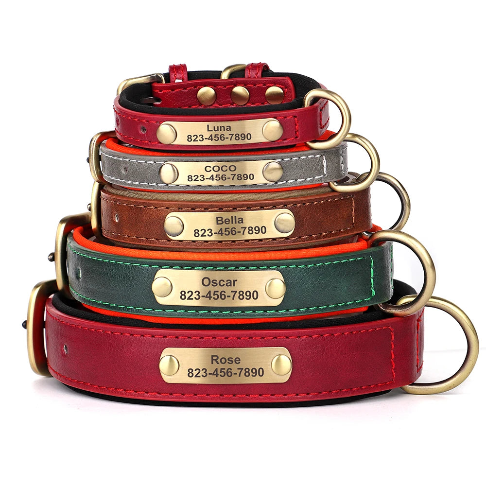 Leather Dog Collar with ID Tag - PetAura