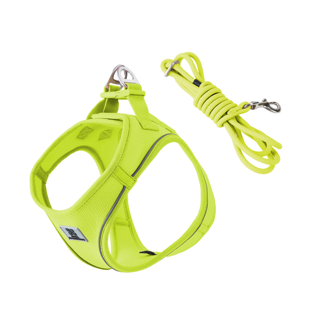 Adjustable Reflective Dog Harness Leash Set - PetAura