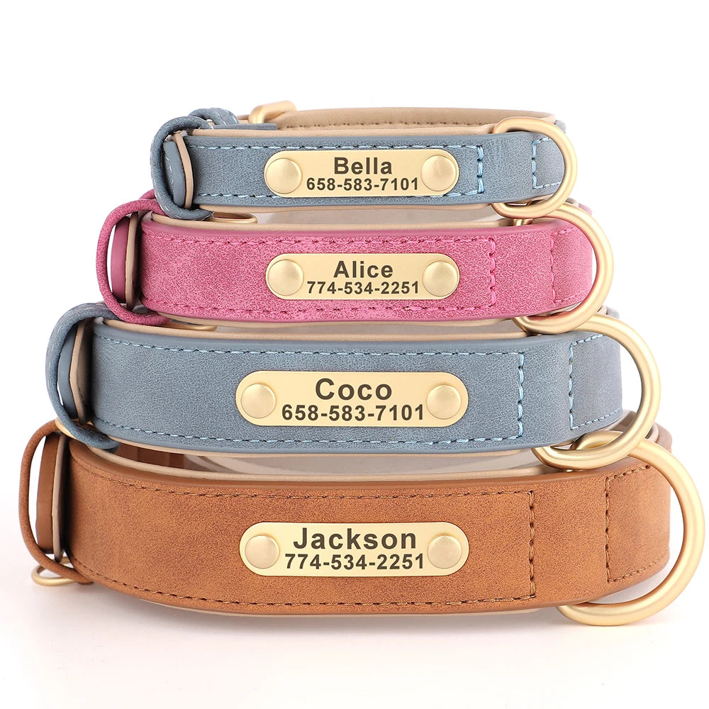 Leather Dog Collar with ID Tag - PetAura