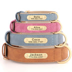 Leather Dog Collar with ID Tag - PetAura