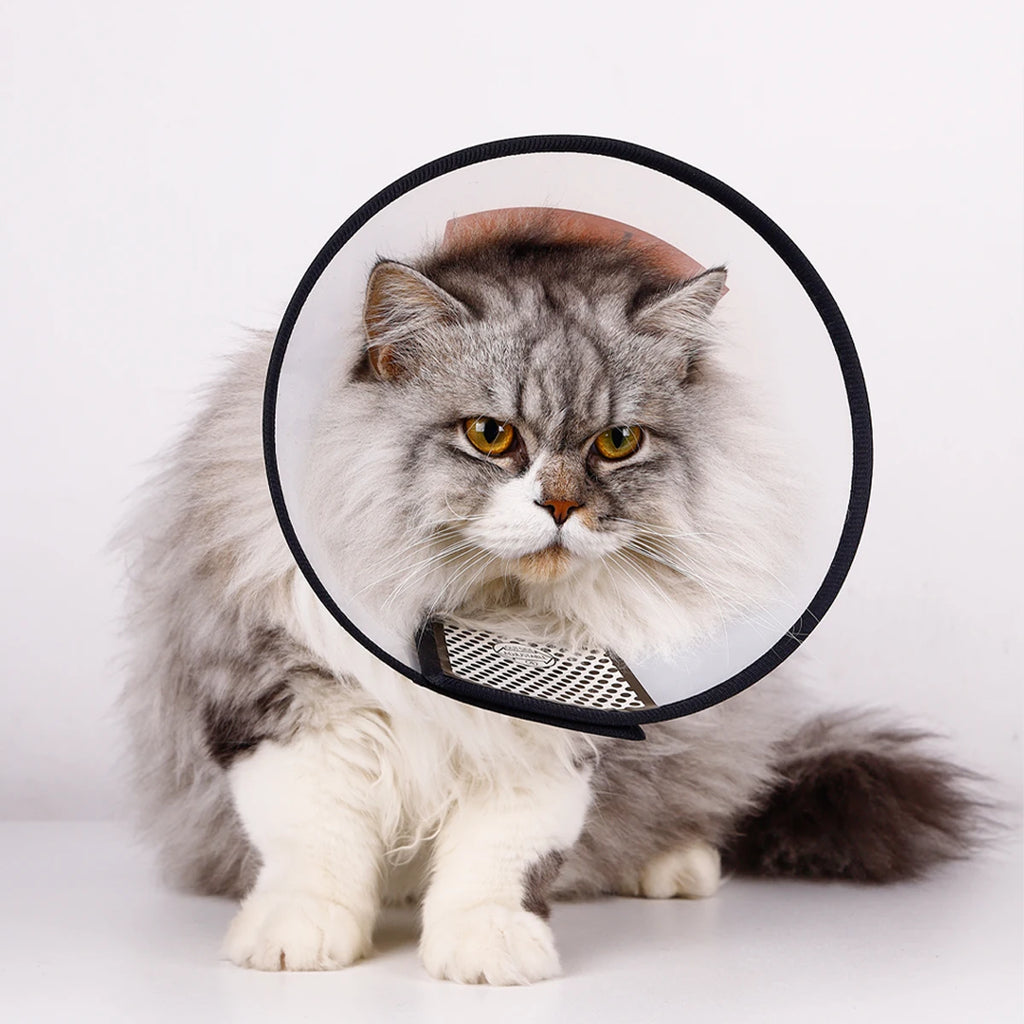 1pc Pet Elizabethan Collar for Dogs Comfy Cones to Stop Licking Protective Collar for Dog After Surgery Anti-Bite Lick