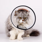 1pc Pet Elizabethan Collar for Dogs Comfy Cones to Stop Licking Protective Collar for Dog After Surgery Anti-Bite Lick