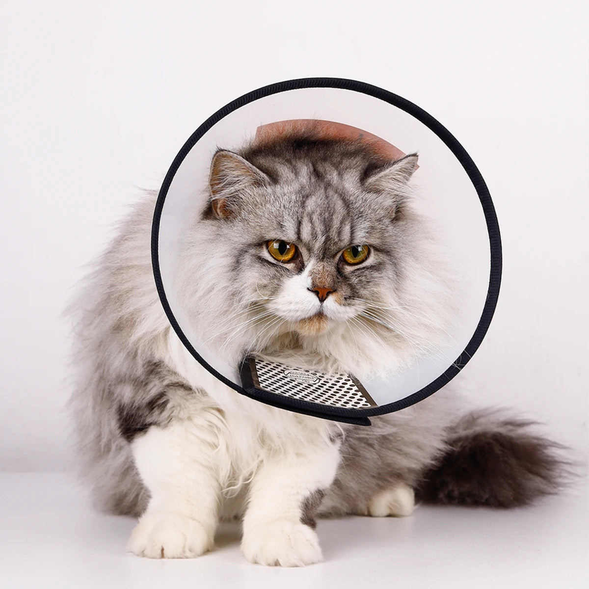 1pc Pet Elizabethan Collar for Dogs Comfy Cones to Stop Licking Protective Collar for Dog After Surgery Anti-Bite Lick