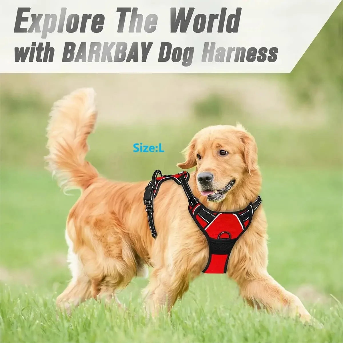Comfortable Dog Harness Vest with Leash - PetAura