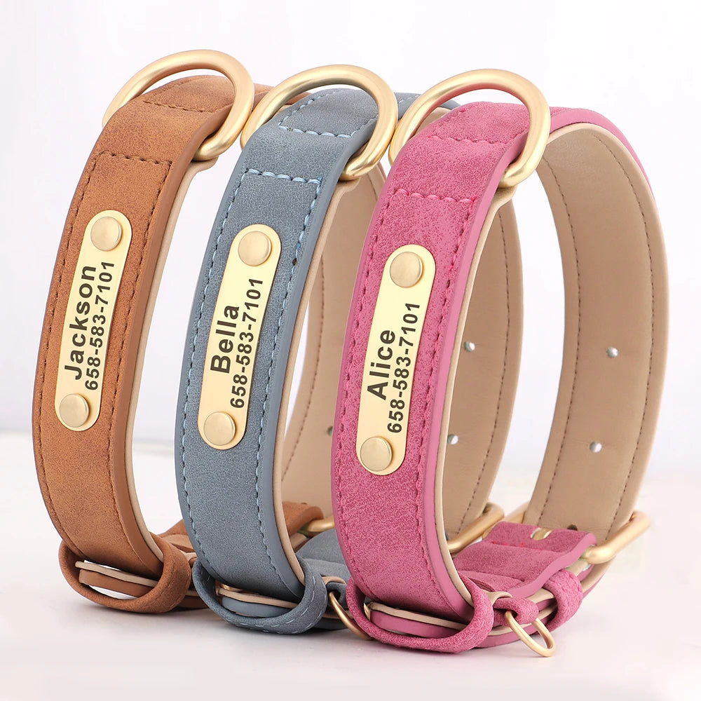 Leather Dog Collar with ID Tag - PetAura