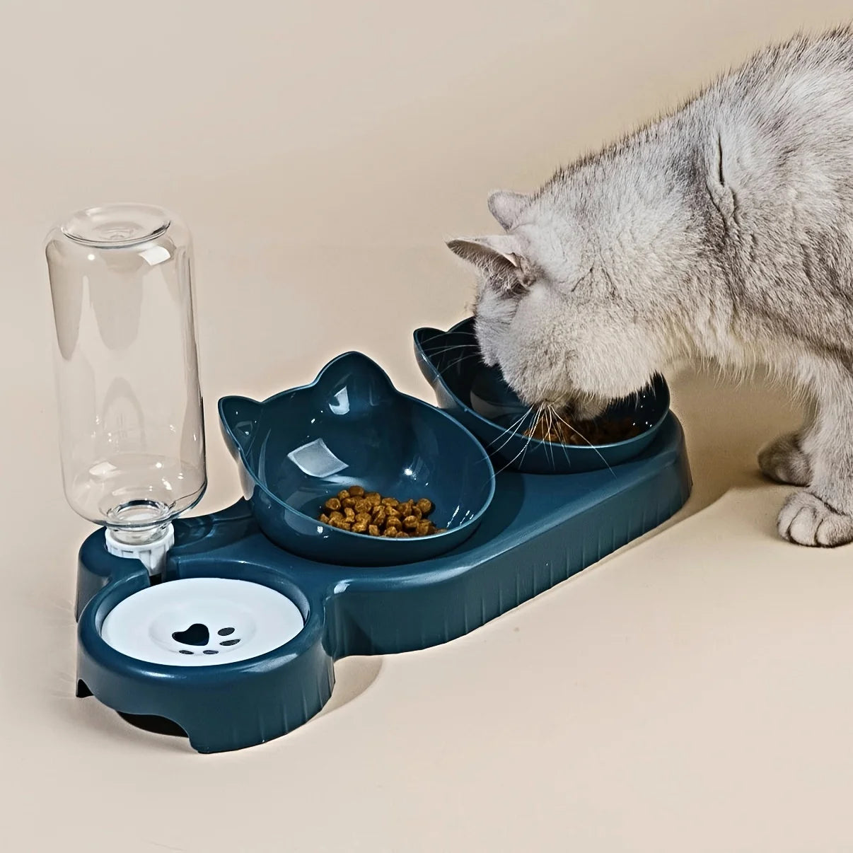 Cat Feeding Set with Water Feeder - PetAura