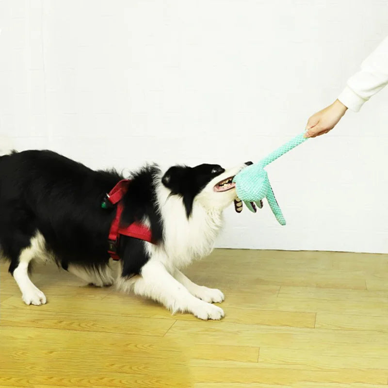 Pet Plush Toy Cat Dog Voice Octopus Shell Puzzle Toy Bite Resistant Interactive Pet Dog Teeth Cleaning Chew Toy Pet Supplies