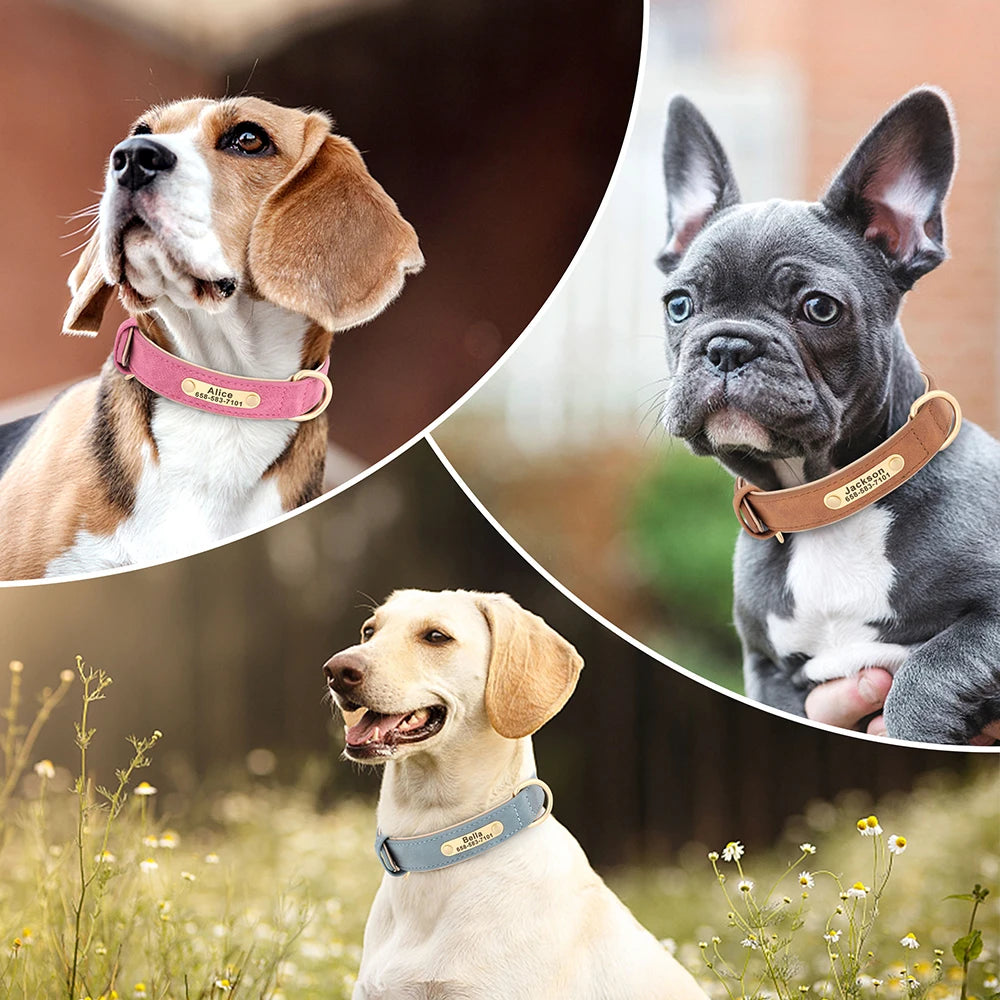 Leather Dog Collar with ID Tag - PetAura