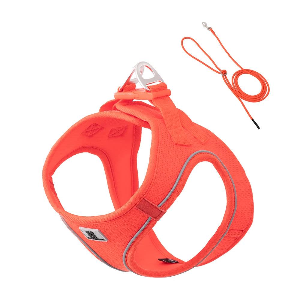 Adjustable Reflective Dog Harness Leash Set - PetAura