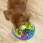 Interactive Dog Puzzle Slow Feeder Bowl - PetAura