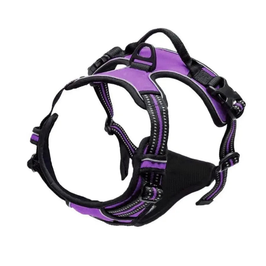 Comfortable Dog Harness Vest with Leash - PetAura