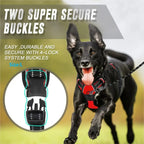 Comfortable Dog Harness Vest with Leash - PetAura